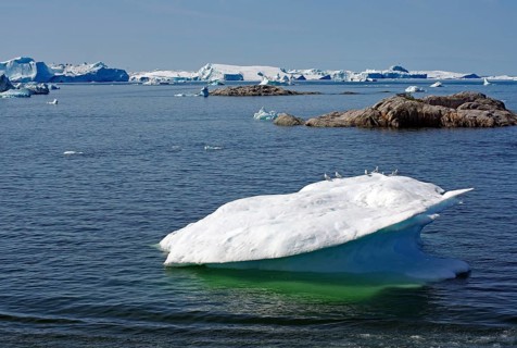 Iceberg with seabirds, rocks in the fjord, Ilulissat, Disko Bay, Denmark, Greenland, North America