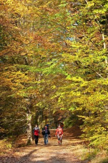 Hikers in the Schrammstein area in the back of Saxon Switzerland