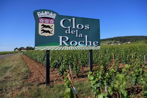Sign at a vineyard on the Route des Grand-Crus, Route of Fine Wines, Clos de la Roche,
