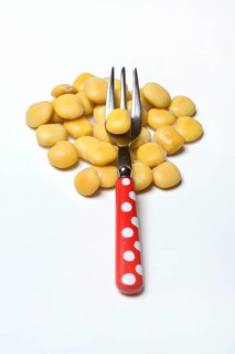 Lupine (Lupinus), cooked and pickled lupine seed with fork