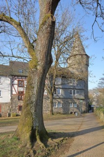 Historic fortified defence tower Dillturm am Stadtpark, Herborn, Hesse, Germany, Europe