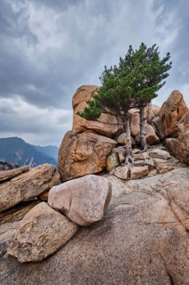 Rock with pine trees in cloudy weather. Seoraksan National Park, South Korea, Asia