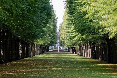 Avenue in the Court Garden, Orangery, Margravial Court Garden Ansbach Park, Garden, Palace Garden,