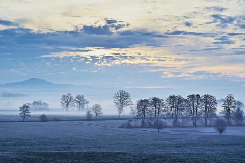 Siebeneichen nature reserve in the early morning mist, Merenschwand, Freiamt, Canton Aargau,