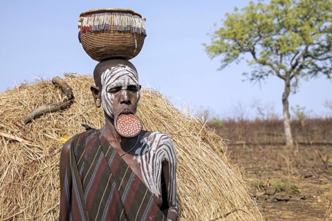 Painted woman of the Mursi tribe wearing lip plate and basket on her head in the Mago National