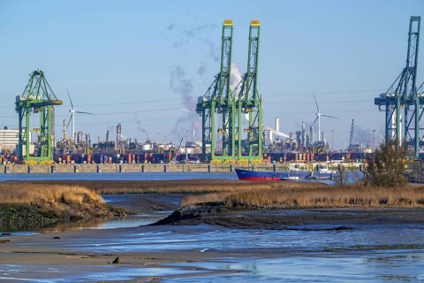 Antwerp port an breach in dike creating salt marsh in the Western Scheldt estuary at nature reserve