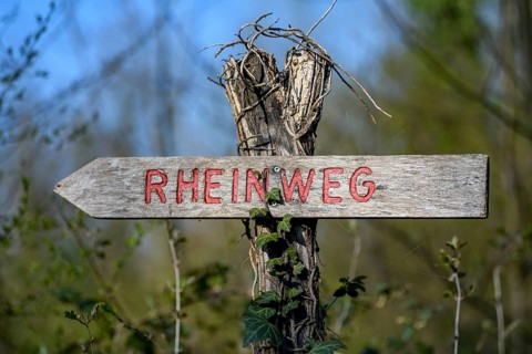 Signposting Rhine Trail, Cycle and Hiking Trail in the Altrheinauen on the Upper Rhine, near