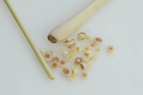 Lemon grass (Cymbopogon citratus), plants, true grass (Gramineae), landscape, horizontal, indoor,