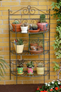 Cacti in flower pots on shelf in summer