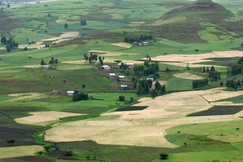 Agriculture showing farmland with fields and primitive huts in the Ethiopian highlands, Ethiopia,