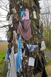 L'arbre à clous, a Belgian wishing tree in Jurbeke, Jurbise, Herchies, Hainaut, Belgium, Europe