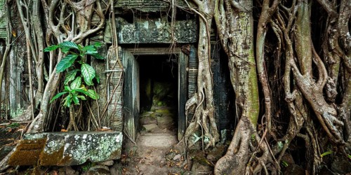 Travel Cambodia concept background, Panorama of ancient stone door and tree roots, Ta Prohm temple
