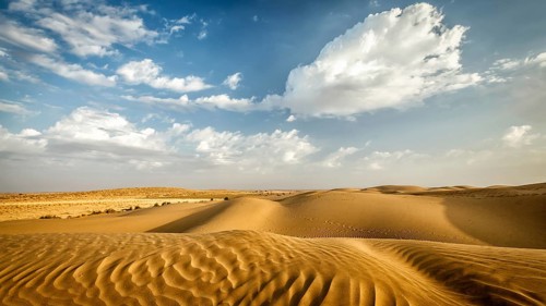 Panorama of dunes of Thar Desert. Sam Sand dunes, Rajasthan, India, Asia