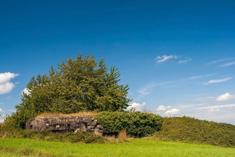 Remains of a bunker, Maginot Line, World War 2, Alsace, France, Europe