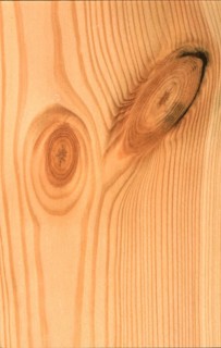 Wood structure, birch wood with stone finish