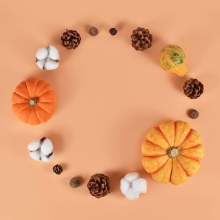 Seasonal autumn decoration like pumpkins and fir cones forming circle on beige background with