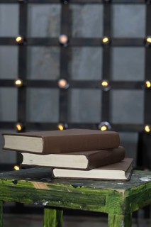Tree big books on chair near old edison lamp mounted on wooden background