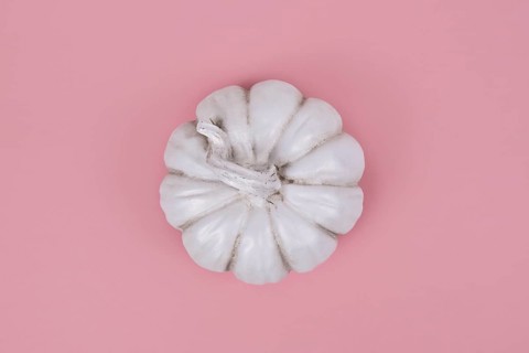 Top view of white decorational pumpkin on pink background