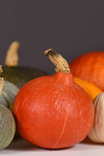 Red Hokkaido squash in pumpkin mix in front of gray wall