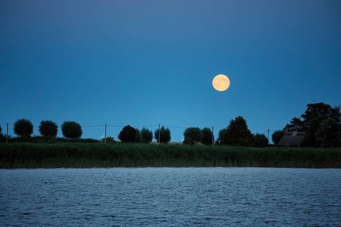 Moonrise, full moon over Bodden landscape, Wustrow, Saaler Bodden, Fischland, Baltic Sea, Germany,