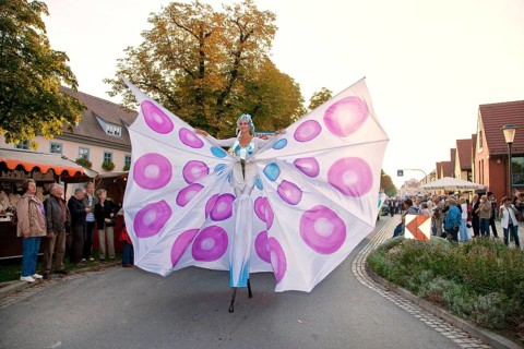 Autumn and wine festival in Altkötzschenbroda