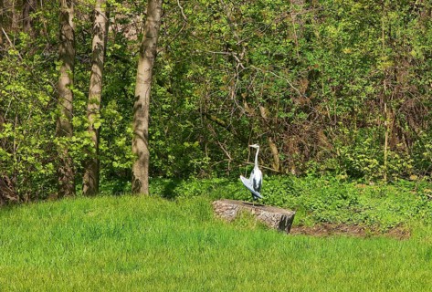 Heron in Lauterbach Castle Park