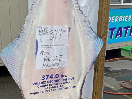 Billboard for the biggest fish caught so far, record, halibut, Prince William Sound, autumn,