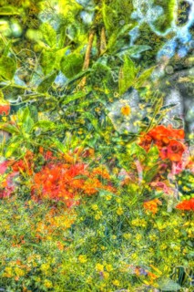 Oil painting, diverse flowers, wildflower meadow, buttercups (Ranunculaceae), red, yellow and white