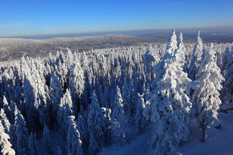 Winter landscape in the Fichtel Mountains, view from the Ochsenkopf, Bayreuth County, Upper