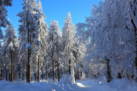 Winter landscape in the Fichtelgebirge, Bayreuth district, Upper Franconia, Bavaria, Germany,