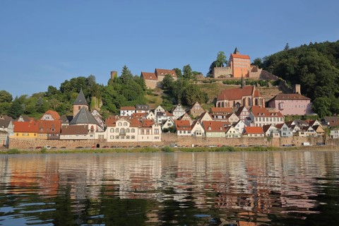 Townscape of Hirschhorn am Neckar with castle, monastery church and market church, Neckar valley,