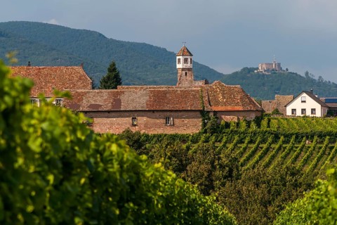 Heilbruck Monastery, Hambach Castle in the background, Edenkoben, Palatinate, Rhineland-Palatinate,