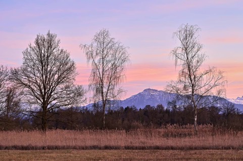 Evening atmosphere in the Reussspitz nature reserve behind the Rigi, Hünenberg, Canton Zug,