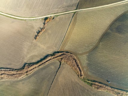 Cultivated fields in winter in the Campiña Cordobesa, the fertile rural area south of the town of
