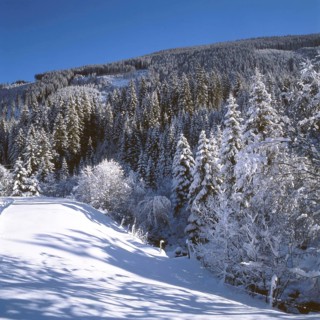 AUT, Austria, Gasteiner Tal: Winter in the Gasteiner Tal, here on 26.12.1994, offers a wealth of