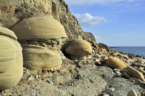 Rounded nodules on the beach near Osmington Mills, made of calcite-cemented sandstone, come from
