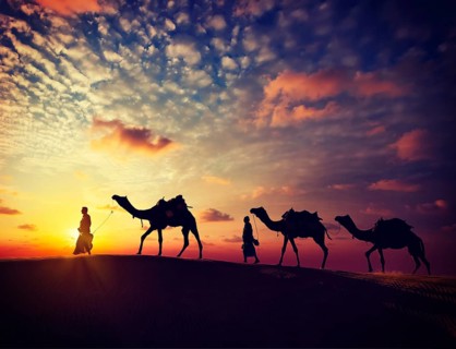 Vintage retro effect filtered hipster style image of Rajasthan travel, two indian cameleers camel