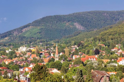 Bad Harzburg, 10.08.2014., Bad Harzburg, Germany, Europe