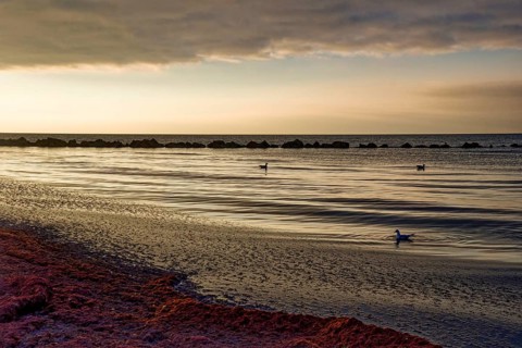 Sunset on the Baltic Sea beach, Wustrow beach in the evening light with clouds, evening mood,