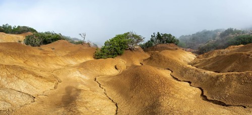 Clouds of fog, yellow earth, erosion, near Arguamul, La Gomera, Canary Islands, Spain, Europe
