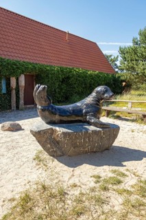 Seal, statue, entrance to the museum, Darßer Ort, Born a. Darß, Mecklenburg-Western Pomerania,