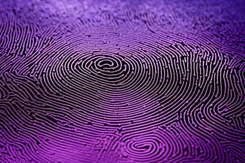 Fingerprint background dominated by swirl patterns in purple hues, AI generated