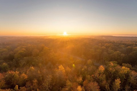 Golden light over misty autumn forests, warm morning atmosphere, Herrenberg, Germany, Europe