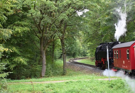 Selketalbahn, Harzer Schmalspurbahn, Brockenbahn runs through the Harz Mountains, Saxony-Anhalt,