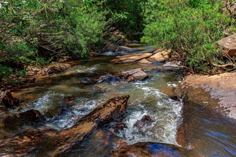 A stream of calm waters running through the rainforest between the rocks Minas Gerias, Brazil,