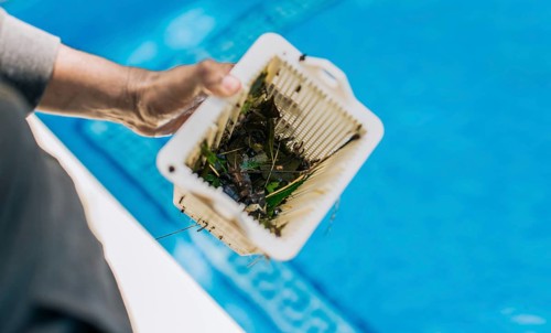 Man cleaning garbage filter basket for swimming pool. trash. Hand holding swimming pool filter