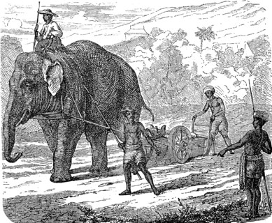 Agriculture, tillage in India, ploughing with an elephant, 1880, Historic, digital reproduction of