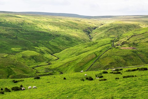 Farms over North Pennines, Cumbria, Durham, Northumberland, North Yorkshire, England, United