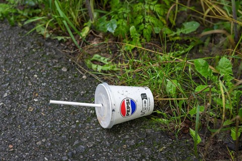 Symbolic image of environmental pollution, discarded drinking can, PEPSI, waste, Baden-Württemberg,