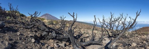 Panorama from the east over the Teide National Park, Parque Nacional del Teide, with burnt Canary